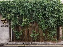 -槟城街头艺术街区