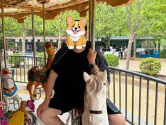 -渔岛海洋度假区