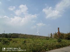 -黄海国家森林公园