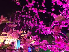 -淄博花灯齐彩城