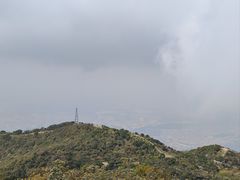 -梧桐山风景名胜区