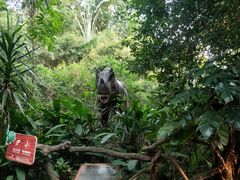 -海南热带野生动植物园