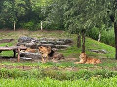 -北京野生动物园