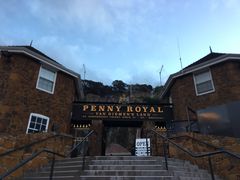 -Penny Royal Adventures