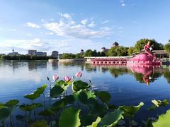 -莲花池公园
