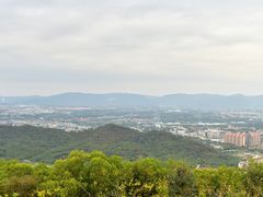 -风云岭森林公园