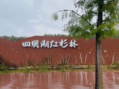 -四明湖