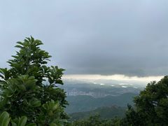-阳台山森林公园