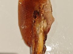 -真地道京味府·鲜橙烤鸭·北京菜(朝外大街东大桥店)