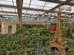 -南宫五洲植物乐园