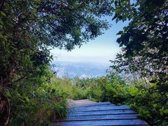 -白草畔自然风景区