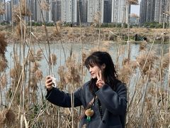 -洋湖国家湿地公园