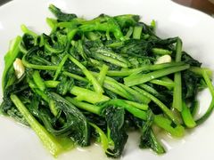 清炒小白菜-晶采餐厅(仁化丹霞山店)