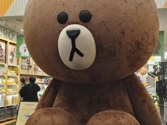 -line friends(明洞旗舰店)