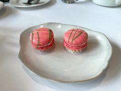 -蝶舍·MAISON PAPILLON