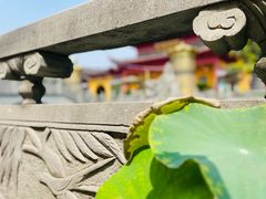 -会龙寺