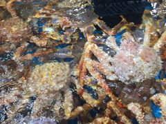 -盒马鲜生(曜一城店)
