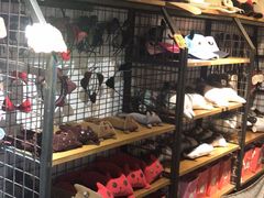 -猫咪博物馆(顶澳仔猫街店)