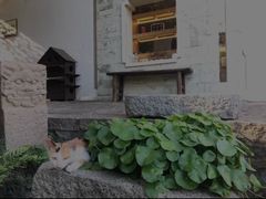 -厦门园林植物园-植物园滴水山房