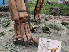 -辽宁古生物博物馆