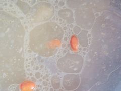 -山芋腔苏北菜(盐城滨海店)