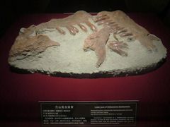 -自贡恐龙博物馆