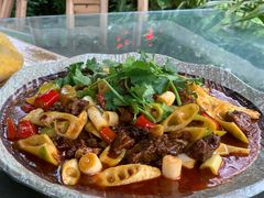 -青城甲(青城山店)