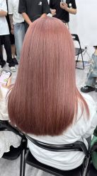 -GANO HAIR 
