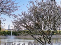 -西北湖绿化广场