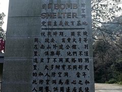 -南山植物园