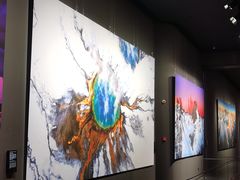 -罗红摄影艺术馆