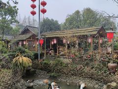 -青城甲(青城山店)