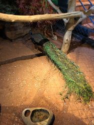 -未来动物城动物主题公园(大悦城店)