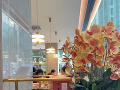 -香港新发烧腊茶餐厅(书城店)