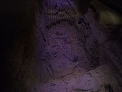 -汉景帝阳陵博物院