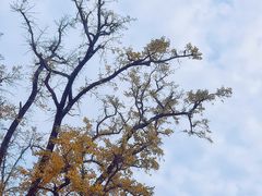 -金堂县云顶石城风景区