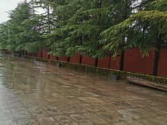 -洛阳白马寺