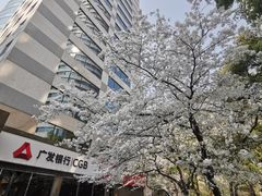-玛格萝妮比萨屋(四平店)