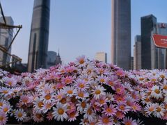 -海心沙亚运公园
