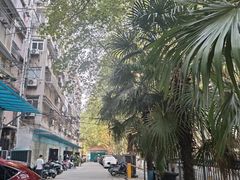 -东南大学附属中大医院(本部)