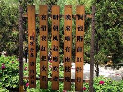 -盛世牡丹苑生态文化旅游区