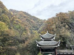 -神农架香溪源景区