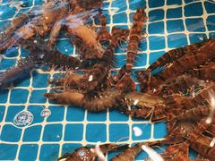 -阿明小菜·海鲜·上海菜(梅陇店)