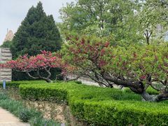 -元大都城垣遗址公园