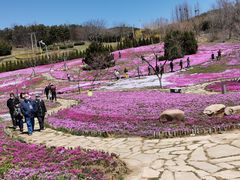 -棒棰岛宾馆景区