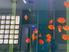 -常熟玉蕙口腔医院