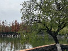 -东莞市可园博物馆