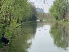 -新江湾城公园