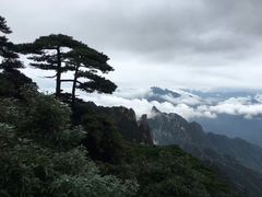 -黄山风景区