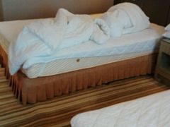 -南京双门楼宾馆(盐仓桥地铁站阅江楼店)